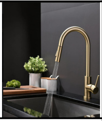 SDN-7093A - SDN-7093A SDN-7300 Commercial High-Arch Pull-Down Gooseneck (Brushed gold)